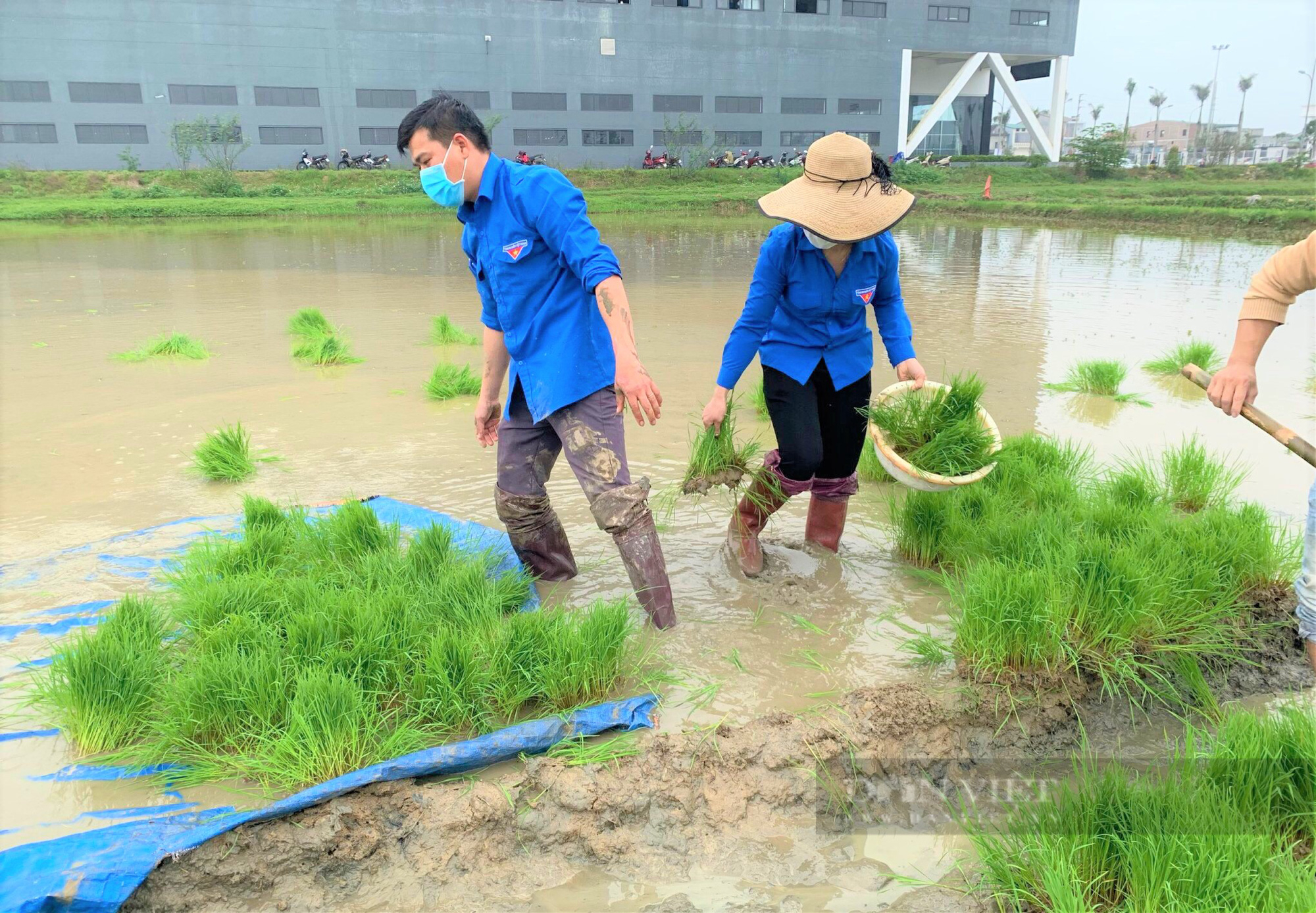 Nông dân Hà Tĩnh thay nhau làm đồng giúp F0 yên tâm điều trị - Ảnh 6.