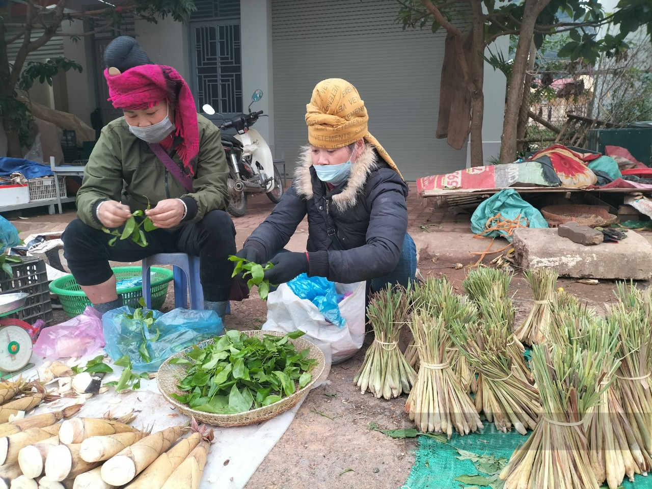 Sơn La: Người dân đổ xô mua gừng, sả, vỏ bưởi… xông mũi, khiến các mặt hàng trên tăng phi mã - Ảnh 8.