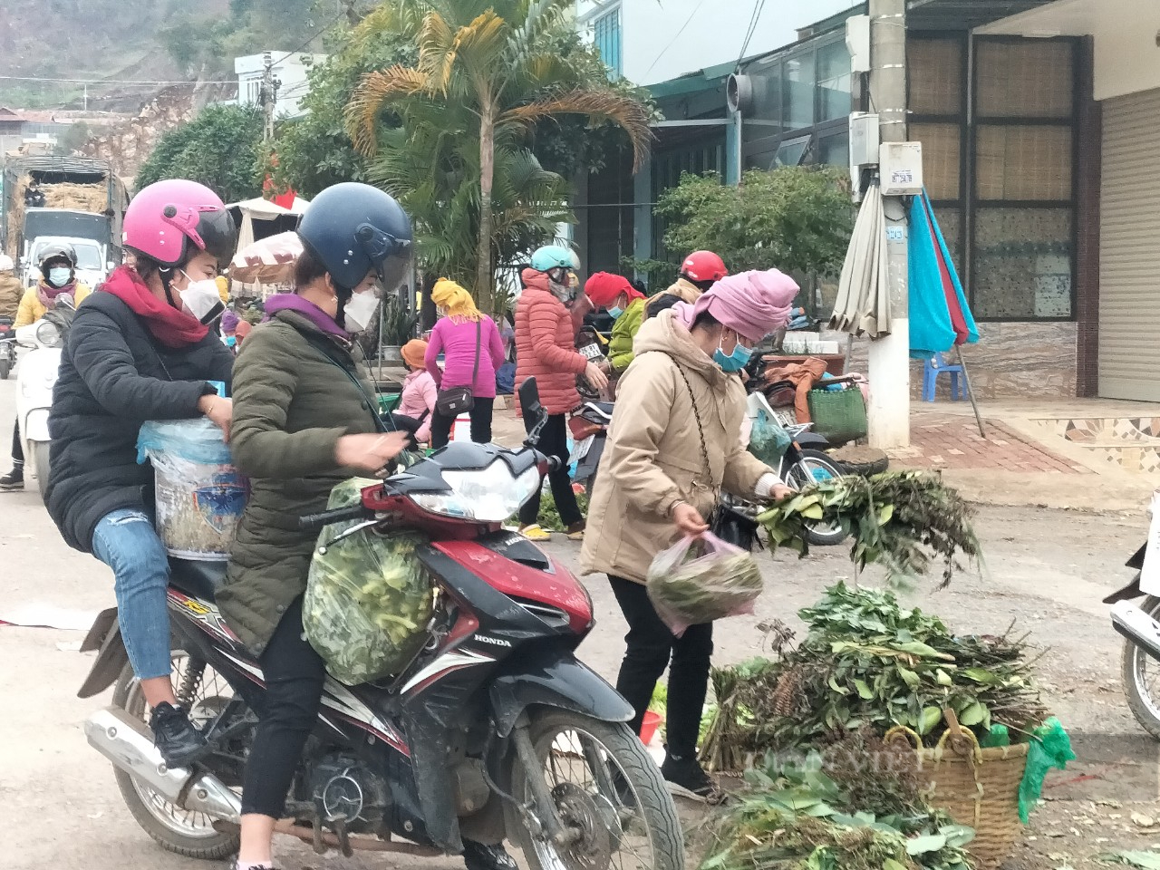 Sơn La: Người dân đổ xô mua gừng, sả, vỏ bưởi… xông mũi, khiến các mặt hàng trên tăng phi mã - Ảnh 6.