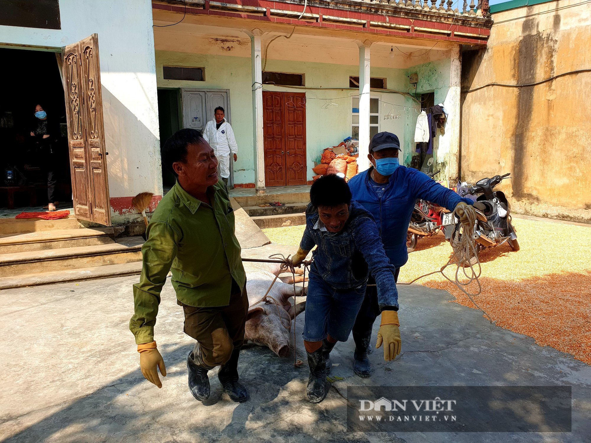Rét đậm rét hại kéo dài, nơm nớp lo đàn gia súc, gia cầm bị dịch bệnh mới tấn công - Ảnh 1.
