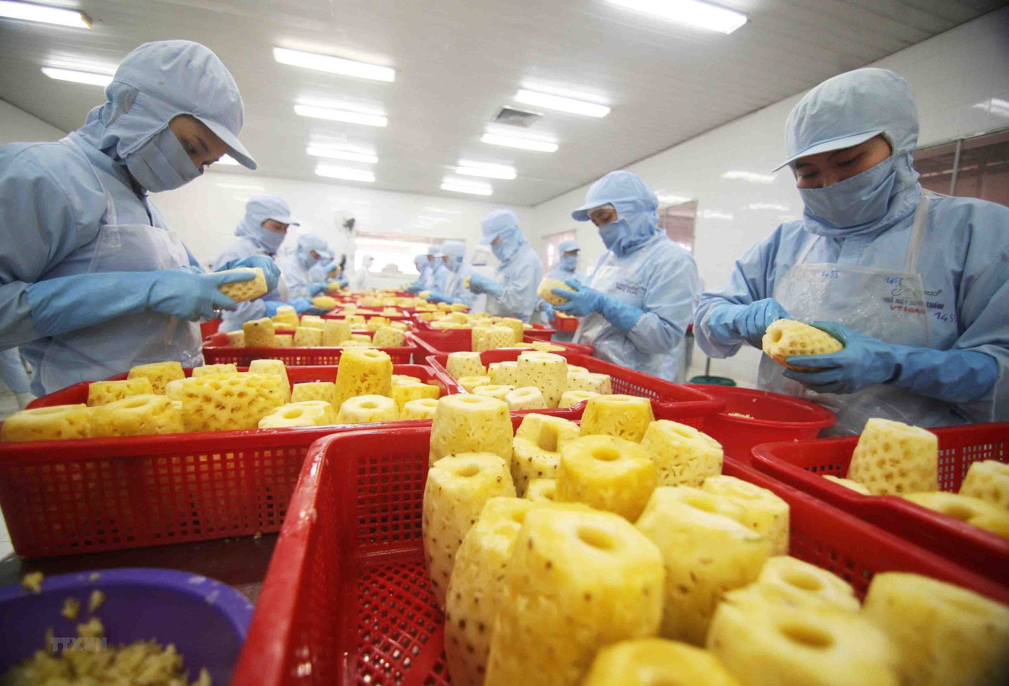 Việt Nam đang xuất khẩu những nông, thủy sản nào sang Nga - Ukraine, loại nào được Nga mua nhiều nhất?  - Ảnh 1.