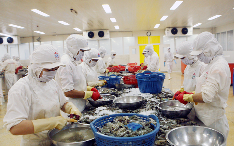 Muốn xuất khẩu nông sản thuận lợi, ổn định sang Trung Quốc, phải đi đường chính ngạch - Ảnh 2. Muốn xuất khẩu nông sản thuận lợi, ổn định sang Trung Quốc, phải đi đường chính ngạch - Ảnh 2.