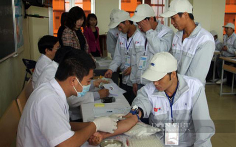Cảnh báo &quot;nóng&quot; lừa đảo lao động đi làm việc thời vụ tại Hàn Quốc những tháng đầu năm  - Ảnh 3.