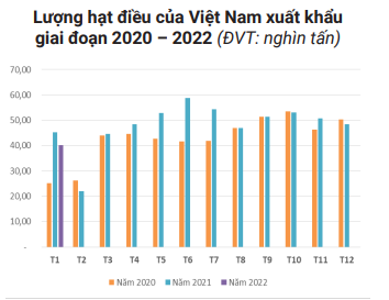 Việt Nam là nguồn cung số 1 mặt hàng này cho Trung Quốc, nhưng xuất khẩu lại đang rất buồn - Ảnh 4.