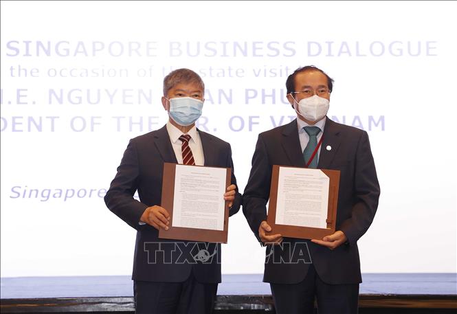 Hình ảnh Chủ tịch nước Nguyễn Xuân Phúc dự Đối thoại doanh nghiệp Việt Nam - Singapore - Ảnh 6.
