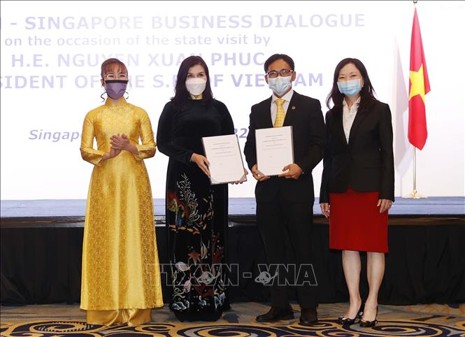 Hình ảnh Chủ tịch nước Nguyễn Xuân Phúc dự Đối thoại doanh nghiệp Việt Nam - Singapore - Ảnh 8.