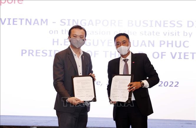 Hình ảnh Chủ tịch nước Nguyễn Xuân Phúc dự Đối thoại doanh nghiệp Việt Nam - Singapore - Ảnh 9.