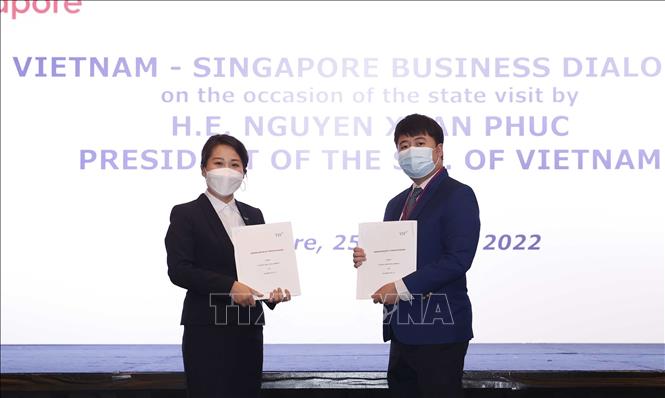 Hình ảnh Chủ tịch nước Nguyễn Xuân Phúc dự Đối thoại doanh nghiệp Việt Nam - Singapore - Ảnh 11.