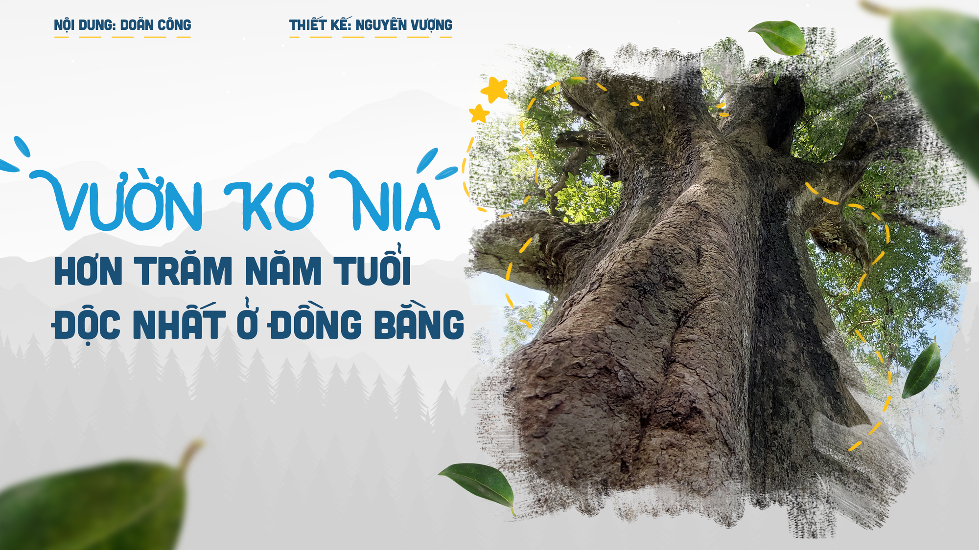 Báu vật trăm năm tuổi đất Tây Nguyên hiện hữu độc nhất  giữa đồng bằng - Ảnh 1.