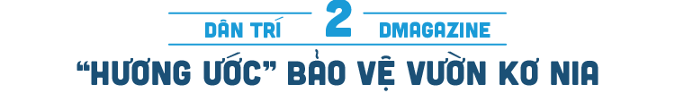 Báu vật trăm năm tuổi đất Tây Nguyên hiện hữu độc nhất  giữa đồng bằng - Ảnh 6.