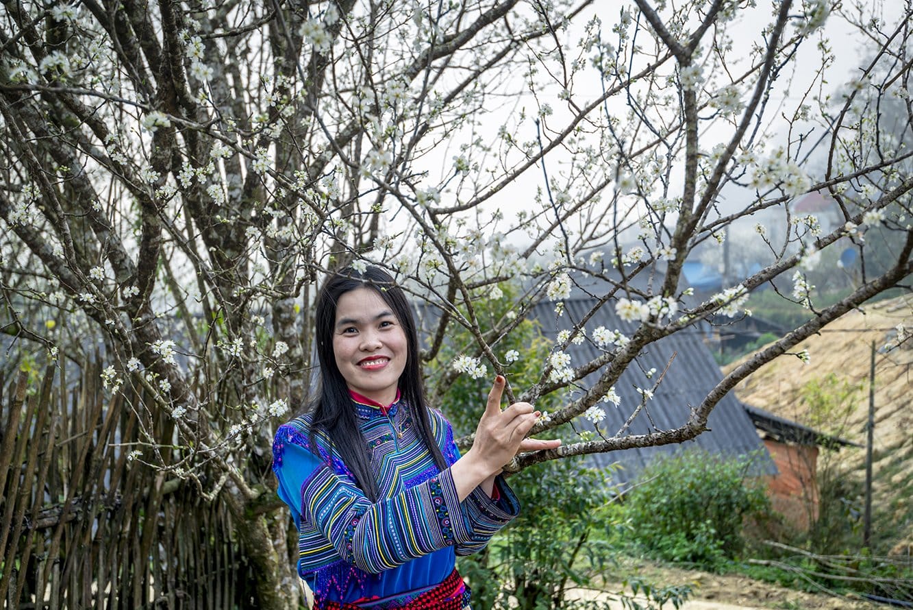 Lào Cai: Du khách đổ xô về cao nguyên trắng ngắm hoa mận cổ thụ bung nở, ai cũng gật gù thoả mãn - Ảnh 9.