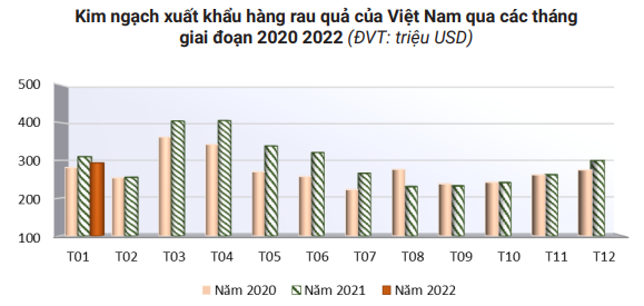 Xuất khẩu rau quả sang Trung Quốc ngày càng cực nhọc, khó khăn - Ảnh 2.