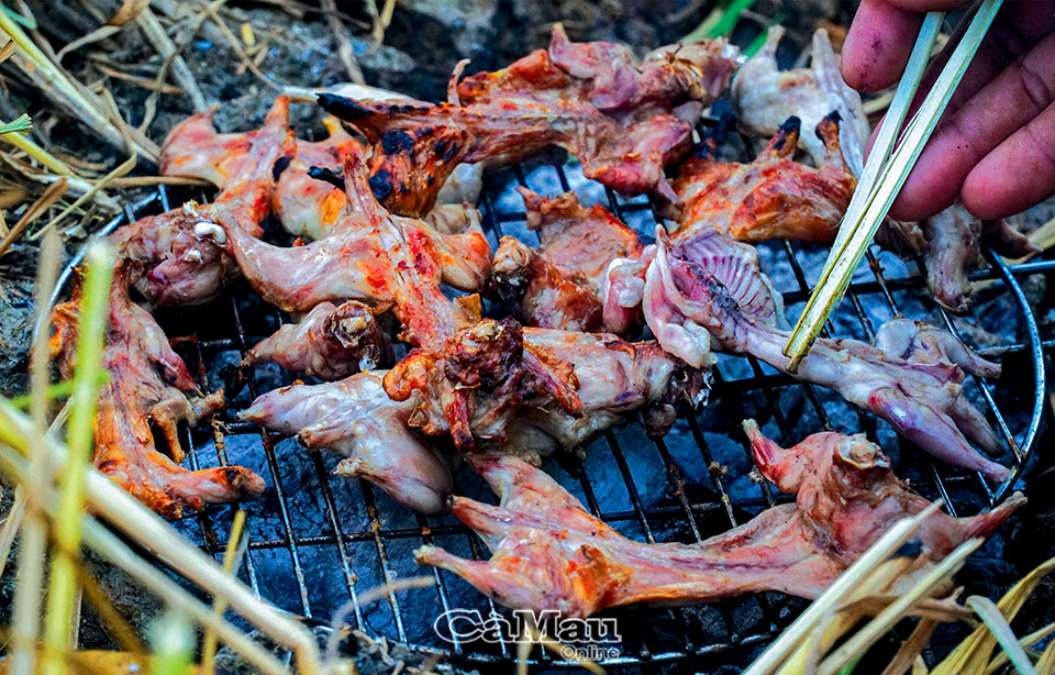 Nghề lạ: Giậm cù bắt chuột, nhậu ngay tại ruộng - Ảnh 5. Nghề lạ: Giậm cù bắt chuột, nhậu ngay tại ruộng - Ảnh 5.
