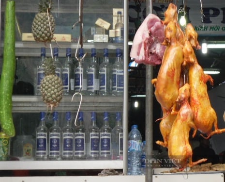 Chương Mỹ: Đồng bộ các biện pháp phòng, chống dịch bệnh gia súc, gia cầm - Ảnh 1.