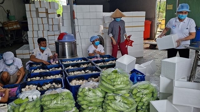 Bài học quý từ tiêu thụ nông sản đợt dịch thứ 4 - Ảnh 1. Bài học quý từ tiêu thụ nông sản đợt dịch thứ 4 - Ảnh 1.