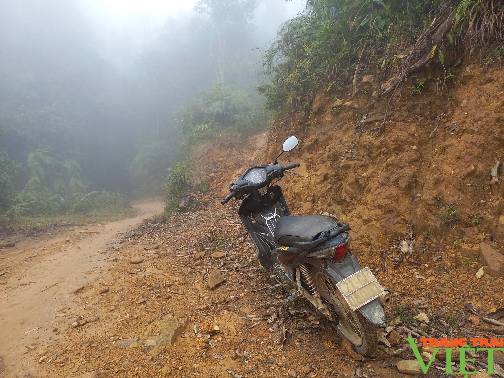 Dị nhân Long Võ và những nỗ lực làm đẹp cho đời - Ảnh 2. Dị nhân Long Võ và những nỗ lực làm đẹp cho đời - Ảnh 2.