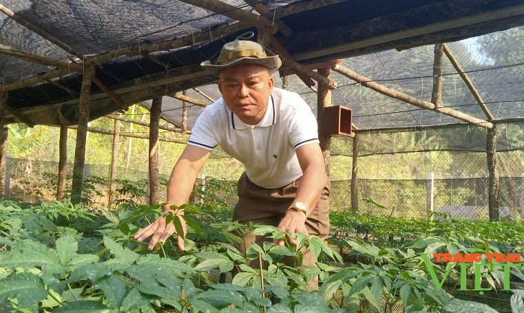 Dị nhân Long Võ và những nỗ lực làm đẹp cho đời - Ảnh 1. Dị nhân Long Võ và những nỗ lực làm đẹp cho đời - Ảnh 1.