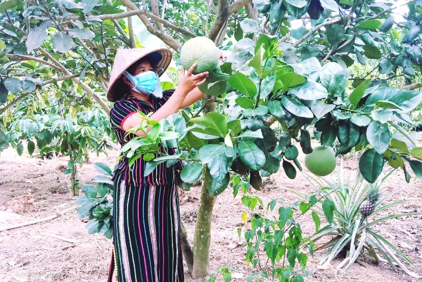 Khánh Hòa: Hơn 6 tỷ đồng giải ngân cho các doanh nghiệp - Ảnh 1. Khánh Hòa: Hơn 6 tỷ đồng giải ngân cho các doanh nghiệp - Ảnh 1.