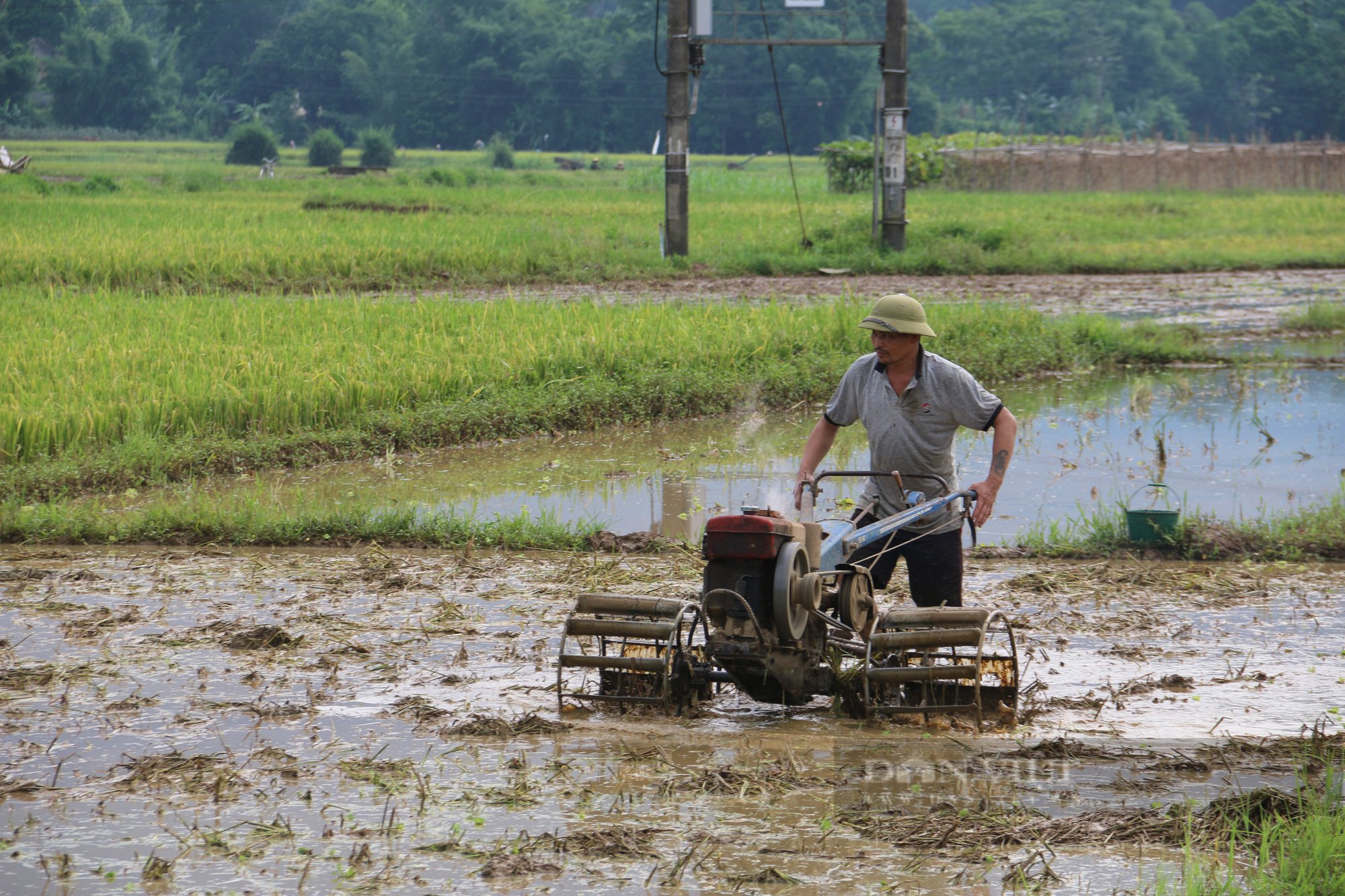 Hết Tết người nông dân lại tất bật với guồng quay lao động sản xuất - Ảnh 7.