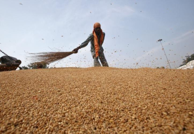 FAO: Giá lương thực toàn cầu tăng trong tháng 1 - Ảnh 1. FAO: Giá lương thực toàn cầu tăng trong tháng 1 - Ảnh 1.