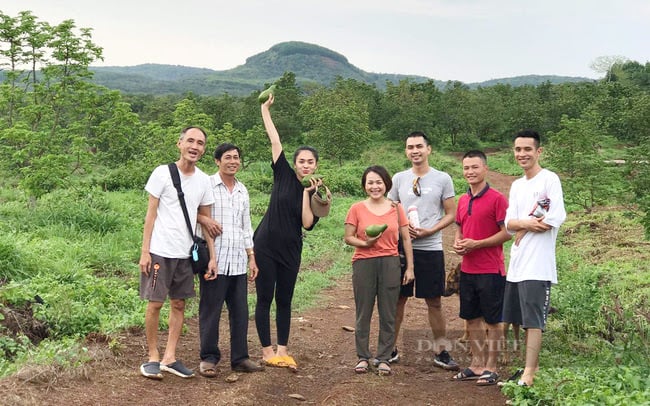 taannien/ Rời nước Pháp hoa lệ về Bình Phước... trồng bơ - Ảnh 1. taannien/ Rời nước Pháp hoa lệ về Bình Phước... trồng bơ - Ảnh 1.