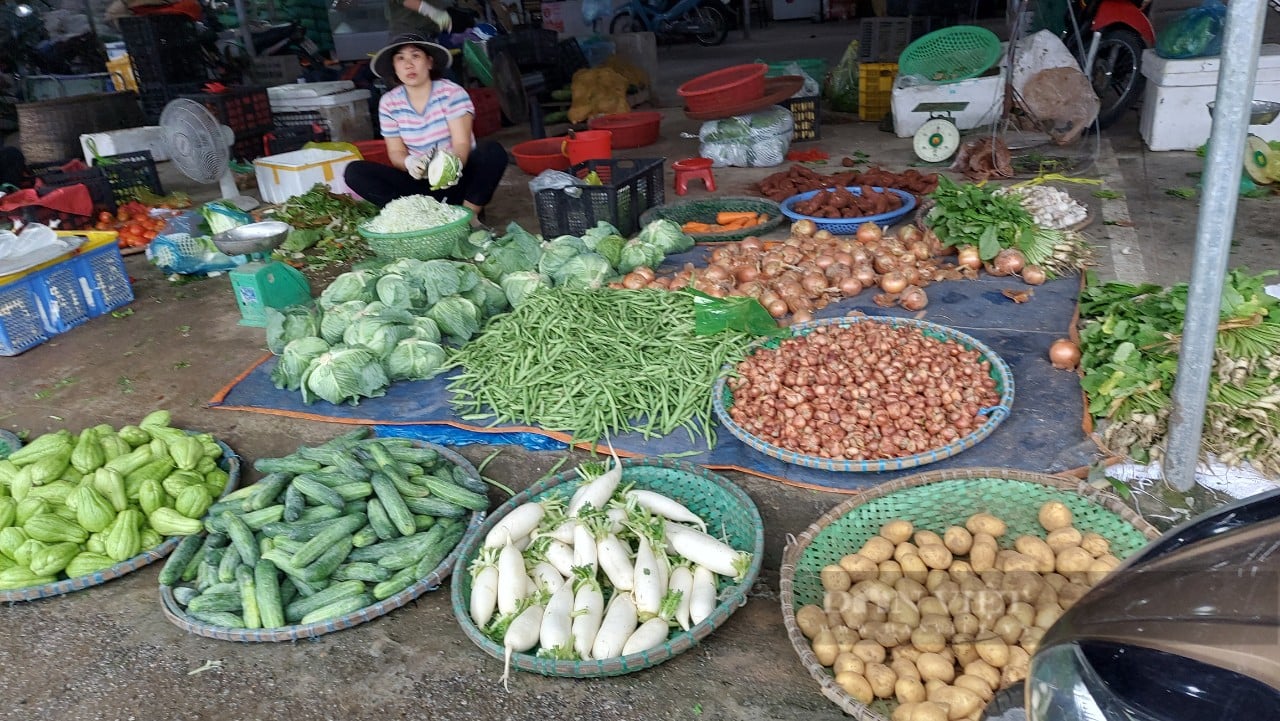 Hải Phòng: Giá thực phẩm rau xanh sau tết tăng nhẹ, người dân mua sắm sôi động từ mồng 2 tết - Ảnh 4.