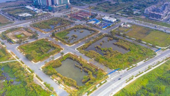 Tăng cường kiểm tra đấu giá đất, không để xảy ra tình trạng thông đồng và móc ngoặc - Ảnh 4.