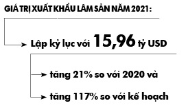 tannien/Chủ động nguồn nguyên liệu, xuất khẩu gỗ lập kỷ lục - Ảnh 3.