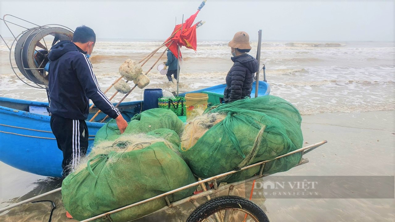 Ngư dân Nghệ An &quot;xông biển&quot; đầu năm, thu tiền triệu mỗi ngày - Ảnh 7.