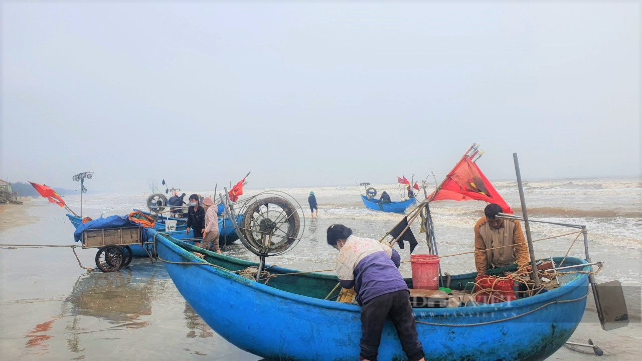 Ngư dân Nghệ An &quot;xông biển&quot; đầu năm, thu tiền triệu mỗi ngày - Ảnh 6.