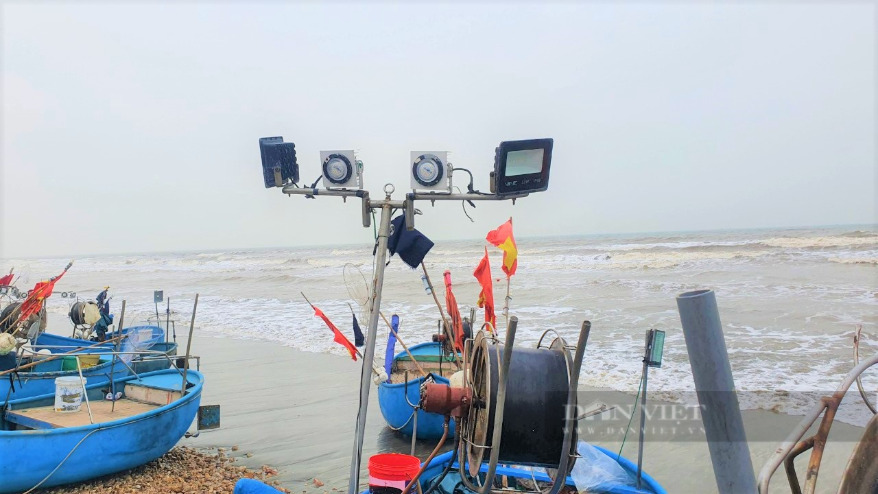 Ngư dân Nghệ An &quot;xông biển&quot; đầu năm, thu tiền triệu mỗi ngày - Ảnh 4.