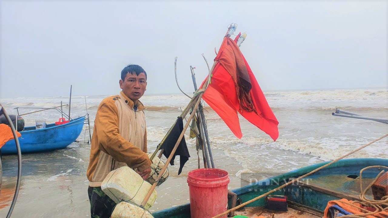 Ngư dân Nghệ An &quot;xông biển&quot; đầu năm, thu tiền triệu mỗi ngày - Ảnh 5.