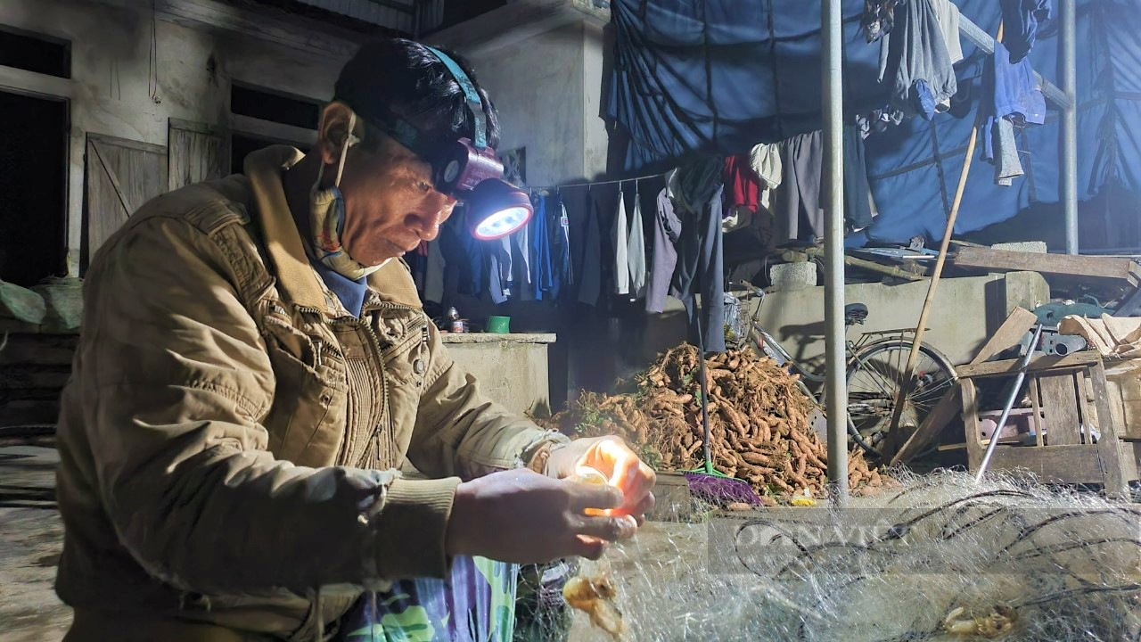 Ngư dân Nghệ An &quot;xông biển&quot; đầu năm, thu tiền triệu mỗi ngày - Ảnh 8.