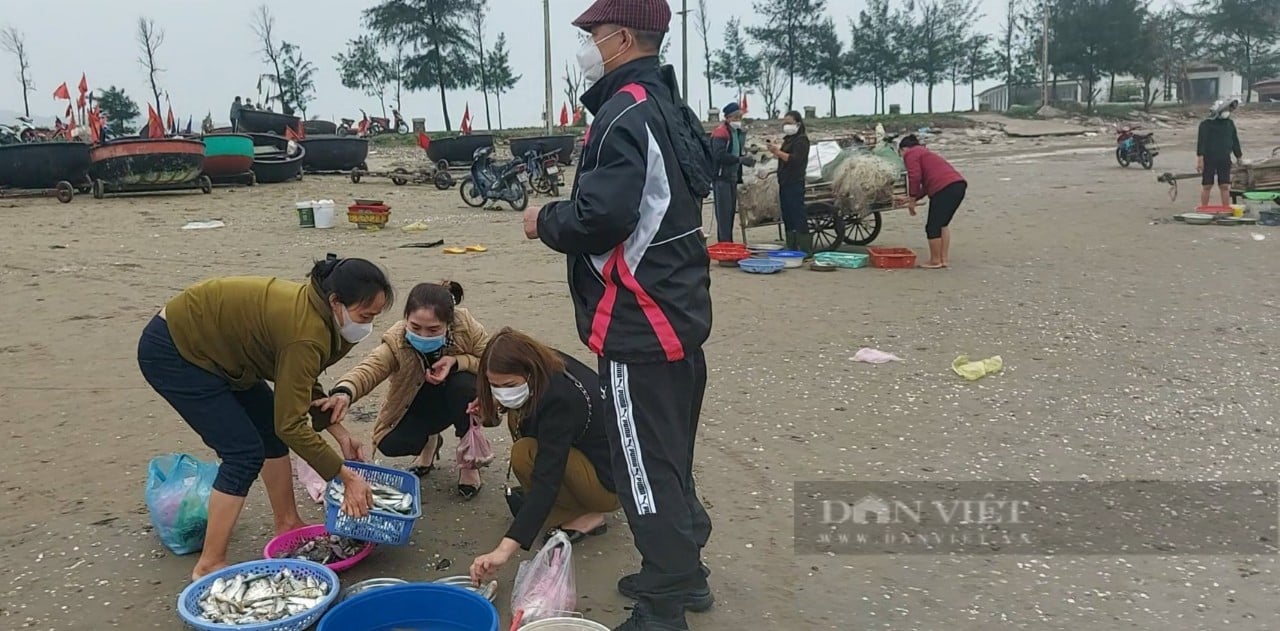 Mua cá &quot;vặt&quot; về thưởng thực ở bãi biển Cửa Lò  - Ảnh 10.