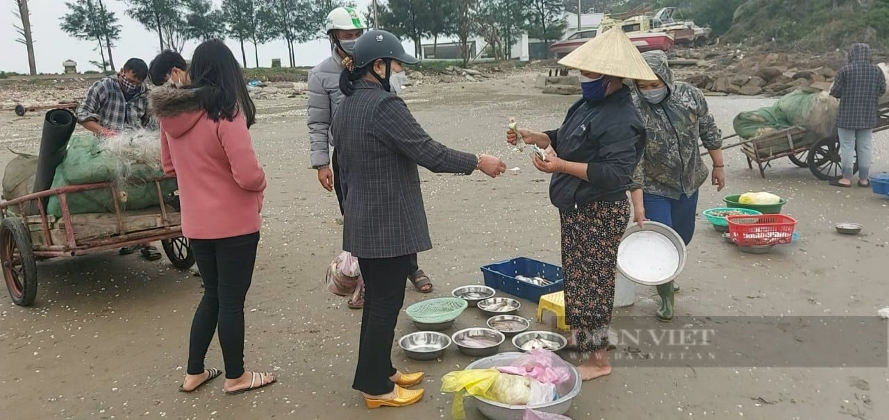 Mua cá &quot;vặt&quot; về thưởng thực ở bãi biển Cửa Lò  - Ảnh 4.