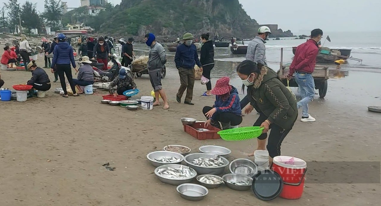 Mua cá &quot;vặt&quot; về thưởng thực ở bãi biển Cửa Lò  - Ảnh 5.