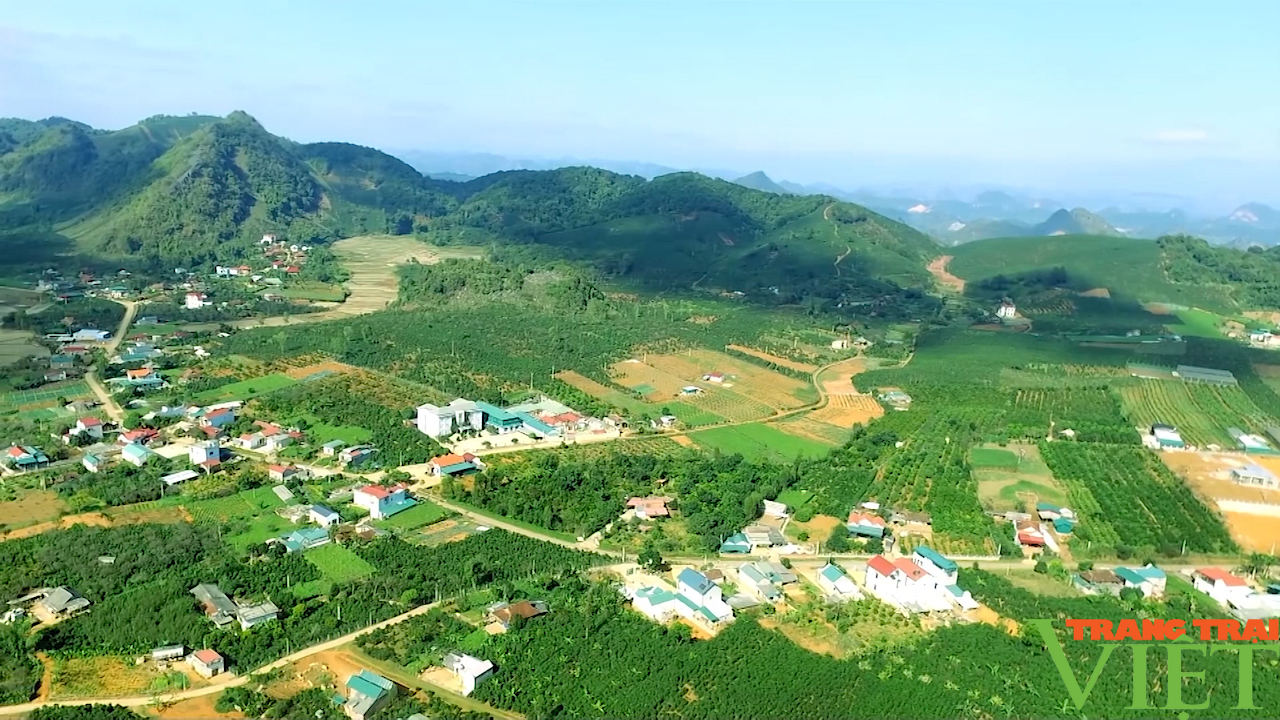 Sơn La hỗ trợ phát triển HTX nông nghiệp - Ảnh 2. Sơn La hỗ trợ phát triển HTX nông nghiệp - Ảnh 2.
