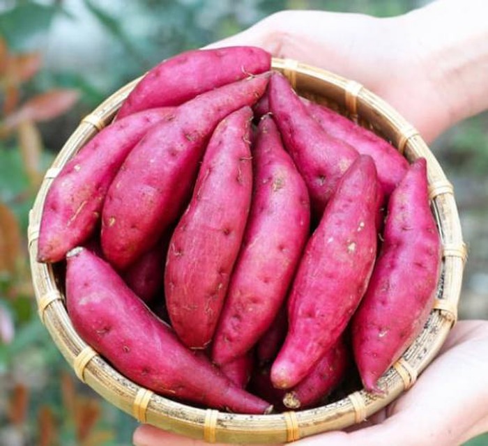 5 thực phẩm người sống thọ hay ăn - Ảnh 3.