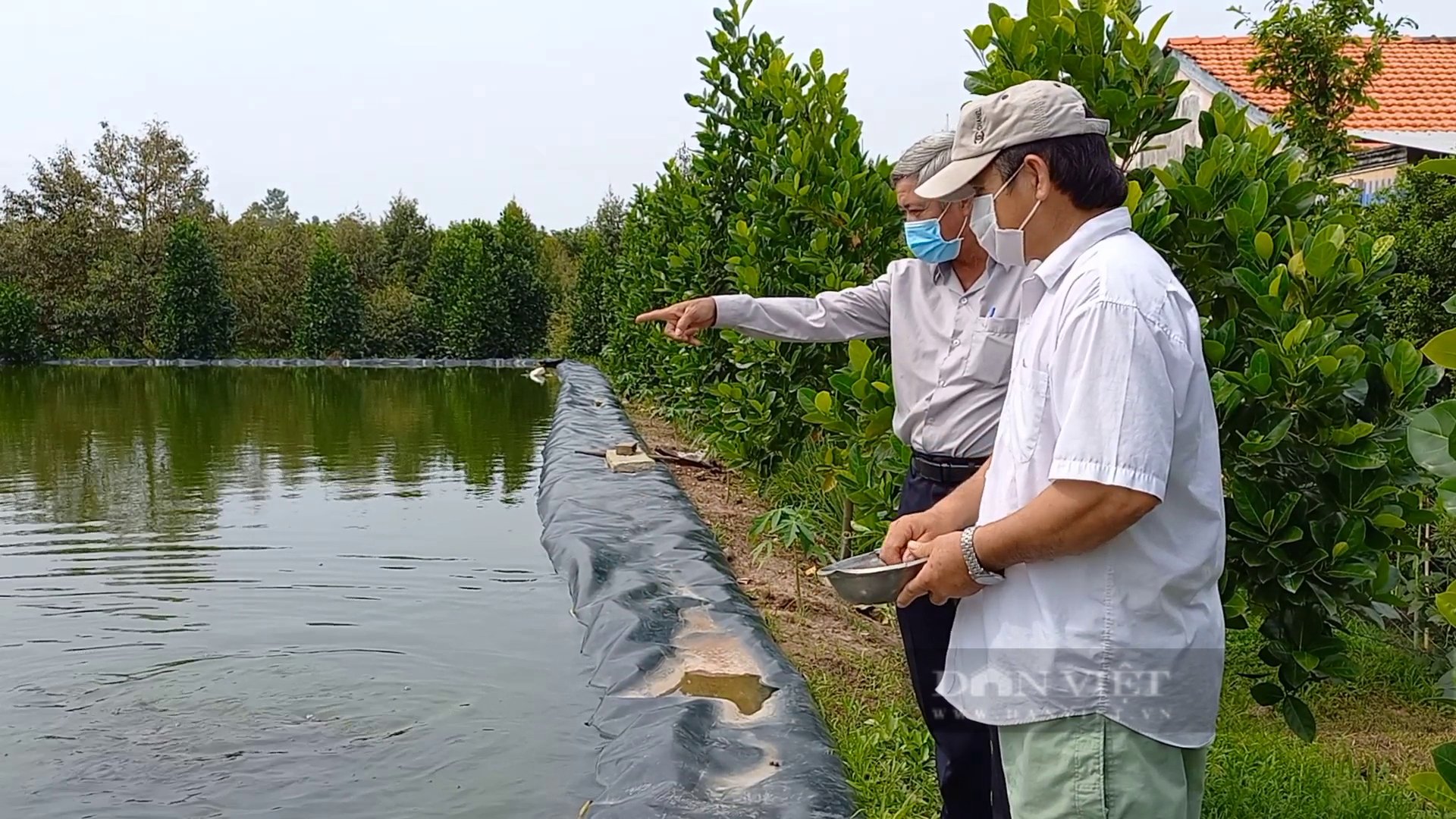Bài 3. Bỏ “đất vàng” làm ao trữ nước tưới sầu riêng và nuôi cá - Ảnh 1.