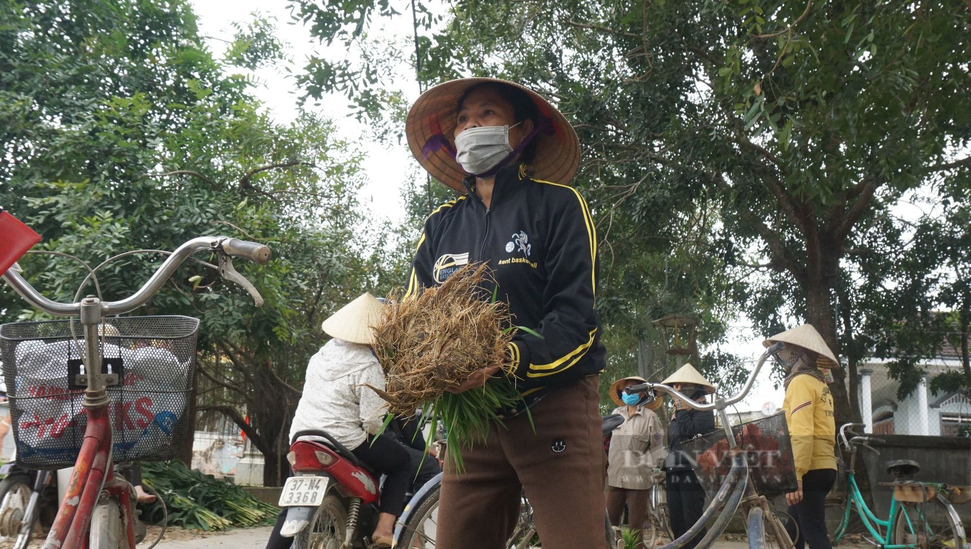 Nghệ An: Phiên chợ đặc biệt của những người nông dân, tỉa lúa non đi bán kiếm tiền đong chợ hàng ngày   - Ảnh 1.