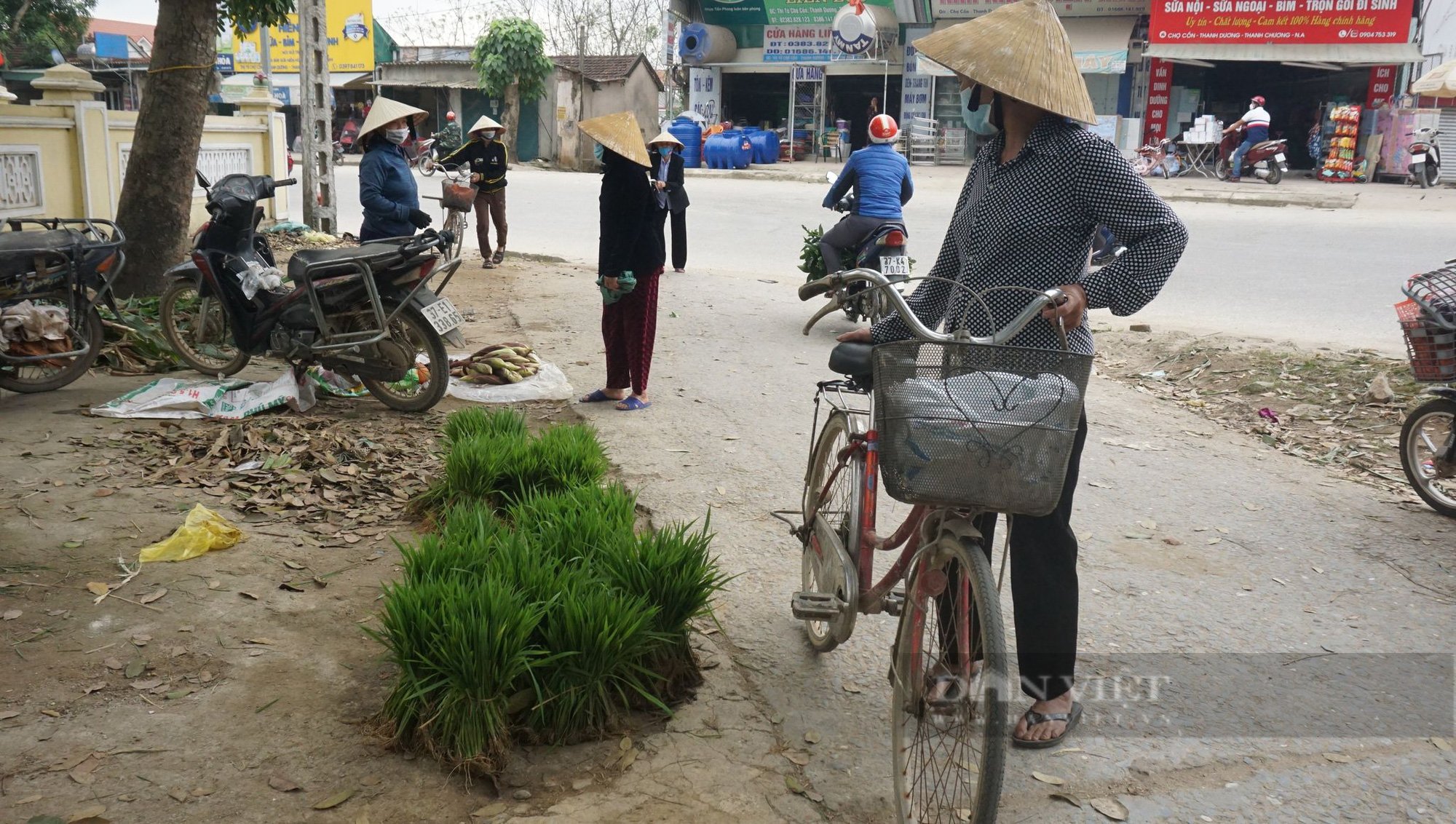 Nghệ An: Phiên chợ đặc biệt của những người nông dân, tỉa lúa non đi bán kiếm tiền đong chợ hàng ngày   - Ảnh 4.