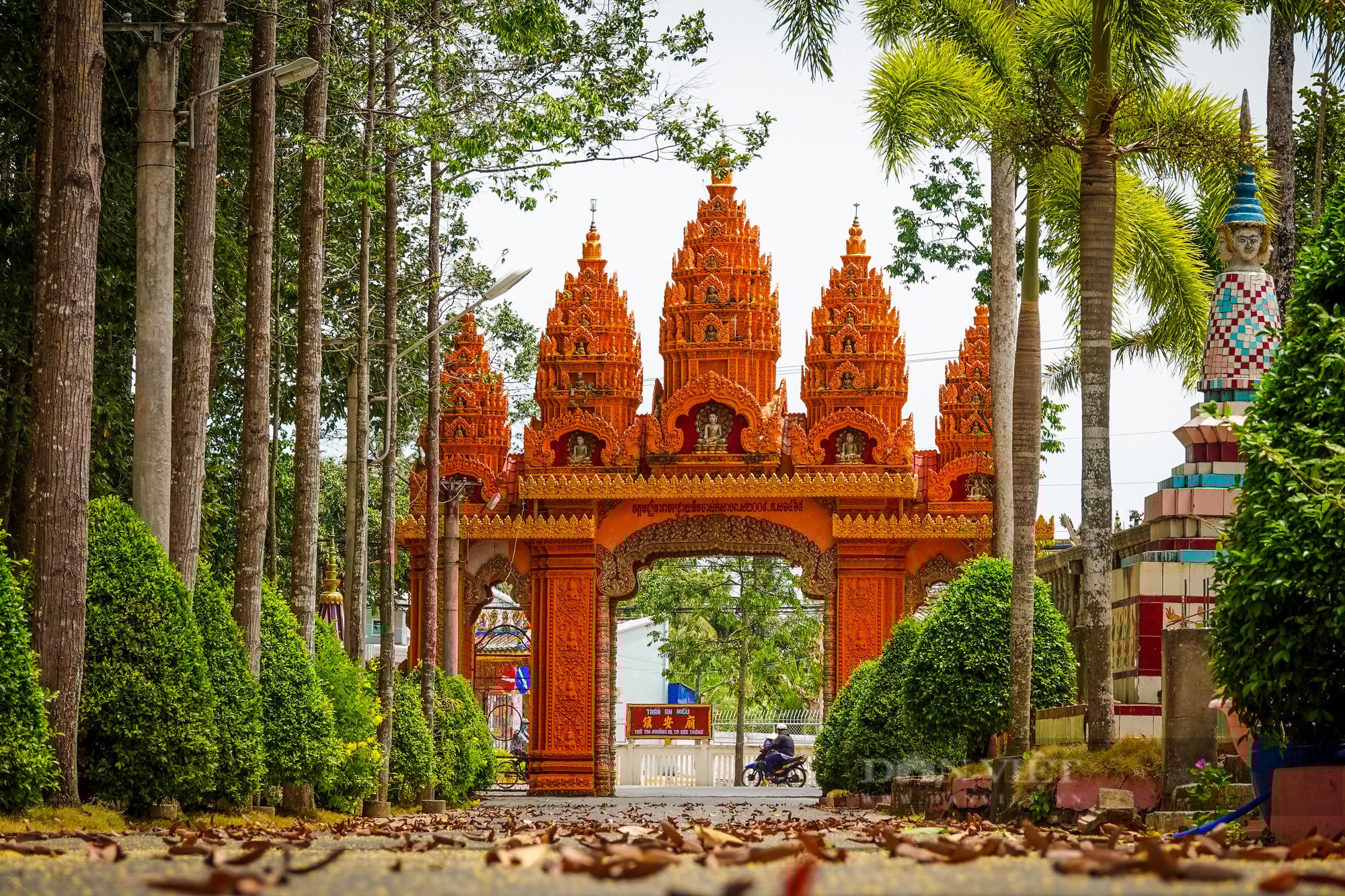 Ngôi chùa Khmer trăm năm tuổi với hàng trăm cây sao cổ thụ “độc” nhất Sóc Trăng - Ảnh 2.