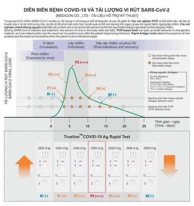 Test nhanh vạch T đậm hay mờ có thể hiện chính xác nhiễm Covid-19 nặng hay nhẹ? - Ảnh 3.