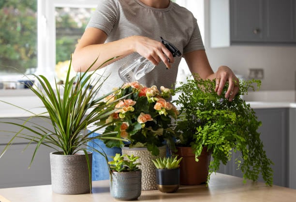 4 cách &quot;đảo đất&quot; chậu cây cảnh để đất mềm xốp như bánh mì, bổ dưỡng cho cây - Ảnh 3.