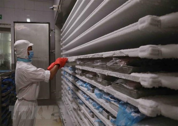 Thị trường kho vận lạnh Việt Nam dự kiến đạt 295 triệu USD vào 2025 - Ảnh 1.
