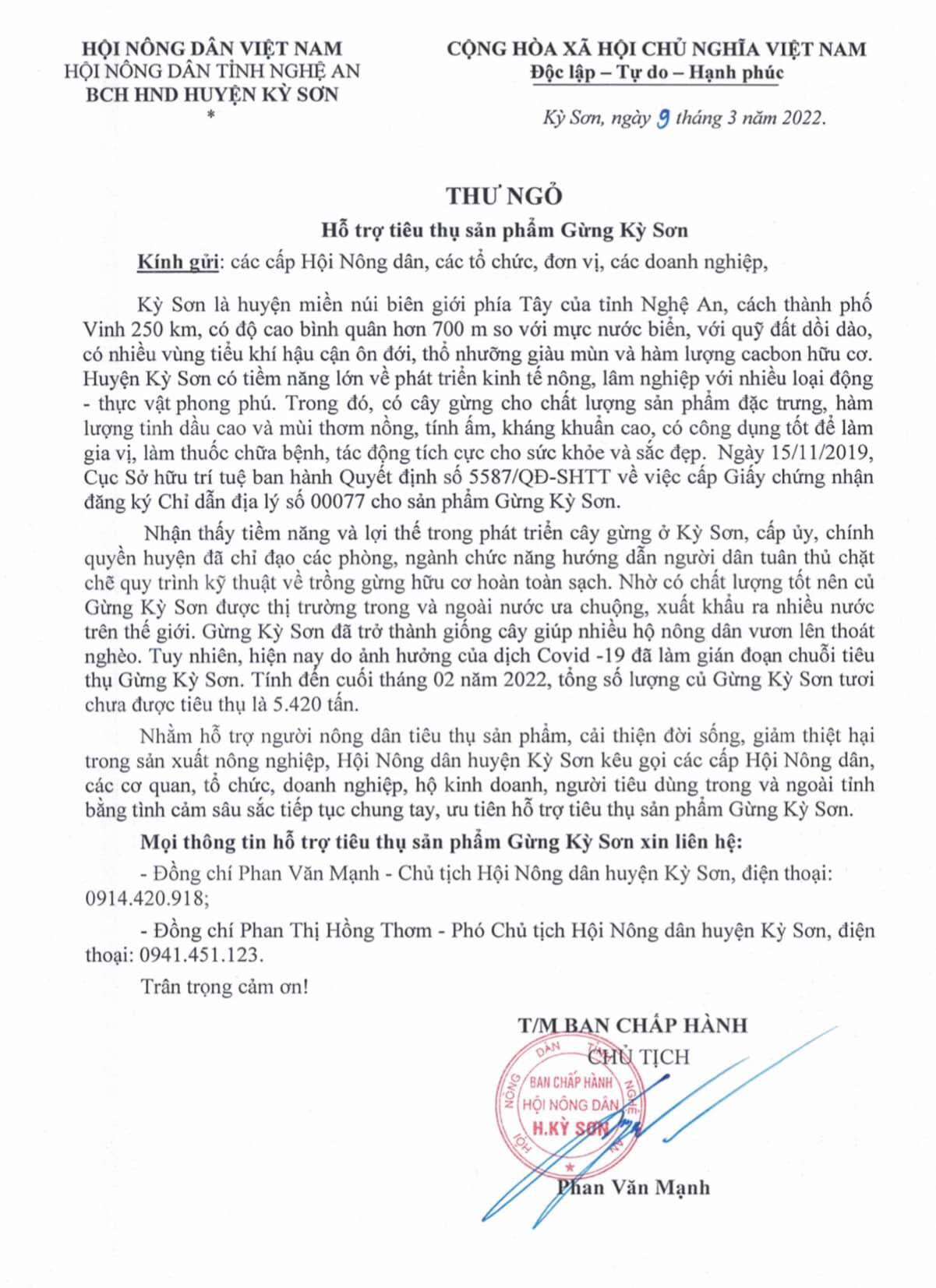 Nghệ An: Đặc sản gừng Kỳ Sơn vào vụ, củ gừng ngon la liệt trên đồi nhưng vắng thương lái, Hội Nông dân vào cuộc - Ảnh 3.