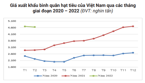 Thị phần hạt tiêu Việt tăng mạnh ở Trung Quốc, nhà nhập khẩu sắp tăng mua... - Ảnh 5.