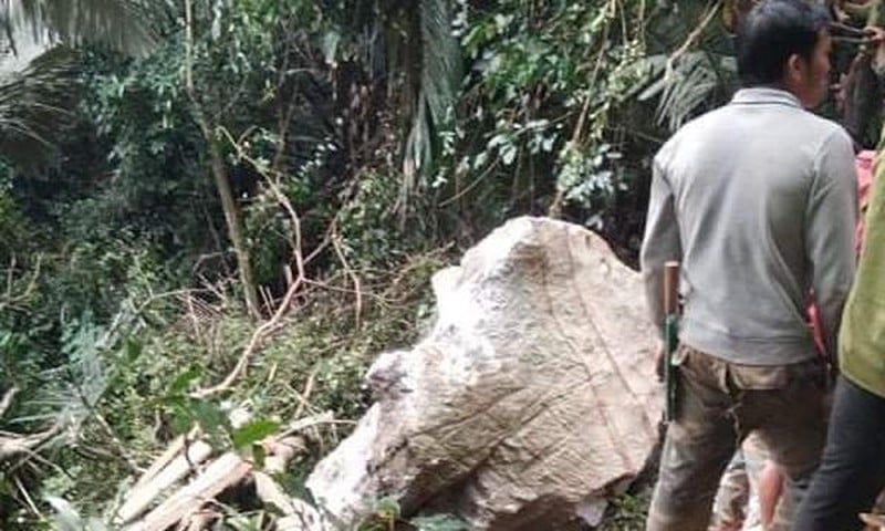 Đi tìm mật ong rừng, người đàn ông bị đá rơi đè tử vong thương tâm - Ảnh 1.