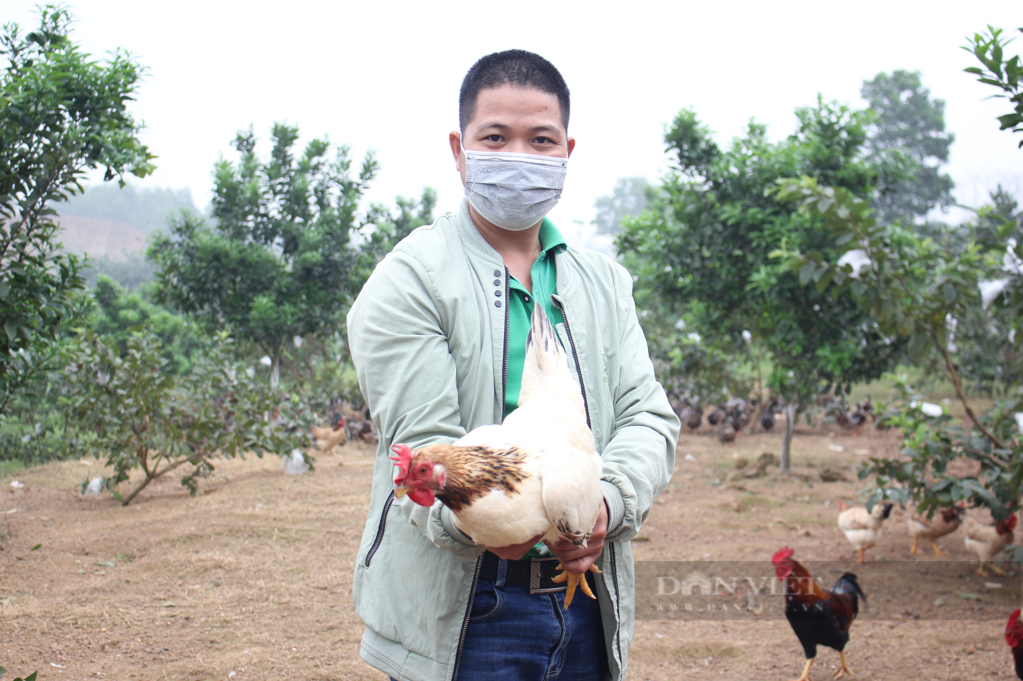 Hà Nội: &quot;Hô biến&quot; mảnh đất mọc đầy cỏ dại thành trang trại nuôi con đặc sản, anh nông dân thu 700 triệu đồng/năm  - Ảnh 2.