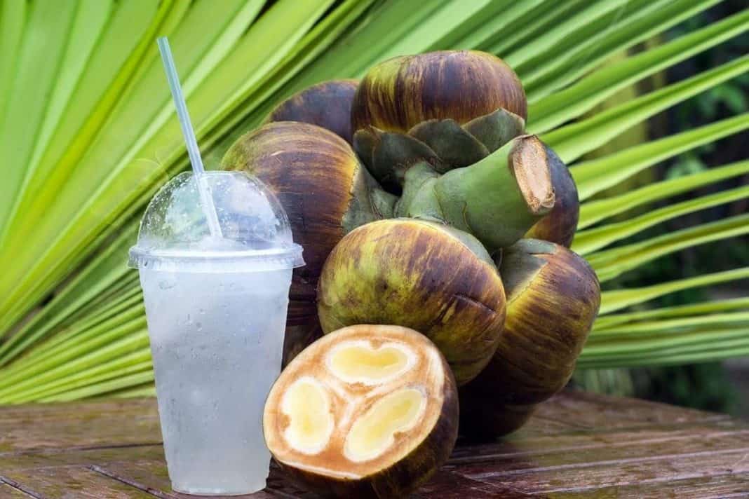 Top các món ăn ngon ở chợ đêm Phú Quốc hấp dẫn du khách  - Ảnh 5.